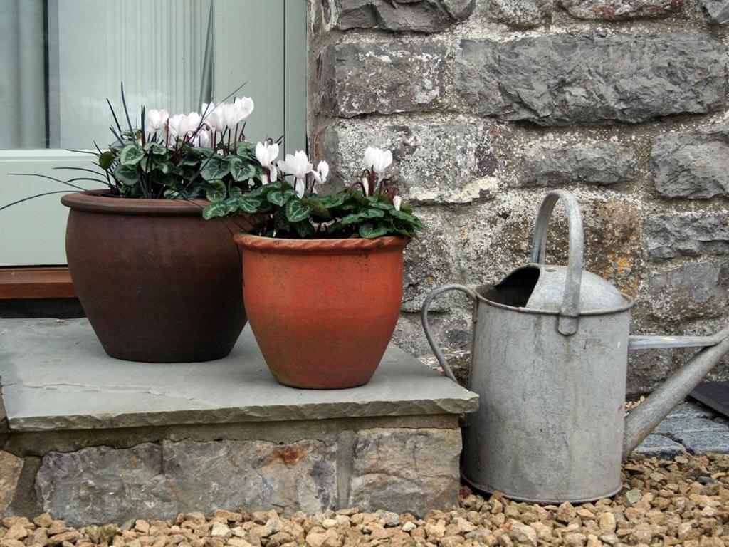 Bishops Farm Bristol